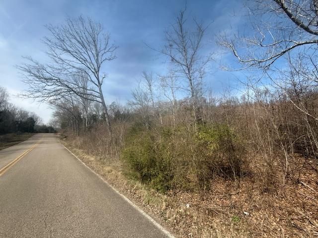 Tract 4 Whiteoak Creek Rd, Clifton, TN 38425 Main Photo