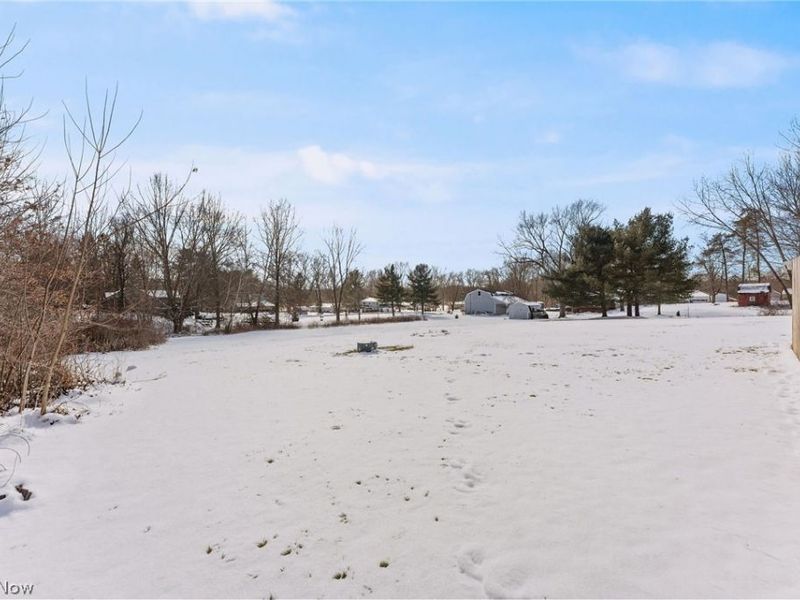 2958 Moyer Avenue, Norton, OH 44203 Photo 42