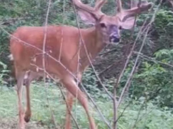 2533 290th Street, Peru, IA 50222