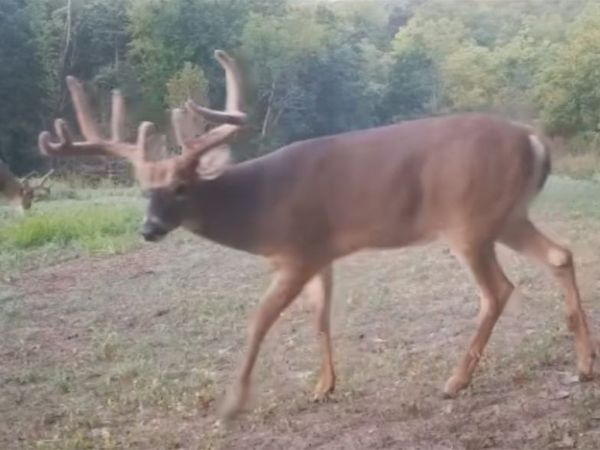 2533 290th Street, Peru, IA 50222