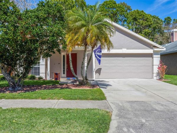 9739 FREDERICKSBURG ROAD, TAMPA, FL 33635