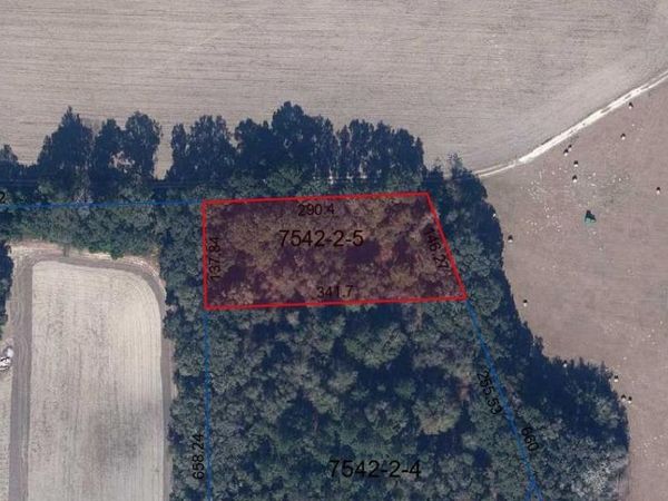 ST RD 235 , BROOKER, FL 32622