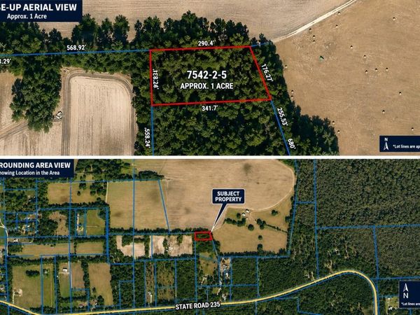 ST RD 235, BROOKER, FL 32622