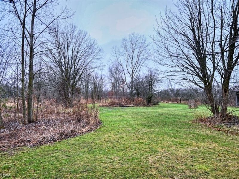 3556 Avon Lake Road, Litchfield, OH 44253 Photo 21