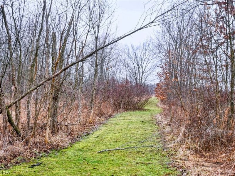 3556 Avon Lake Road, Litchfield, OH 44253 Photo 22