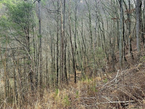 3278 Emerald Springs Loop, Sevierville, TN 37862