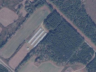 0 Bryant Road , Reevesville, SC 29471