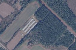 0 Bryant Road photo 4