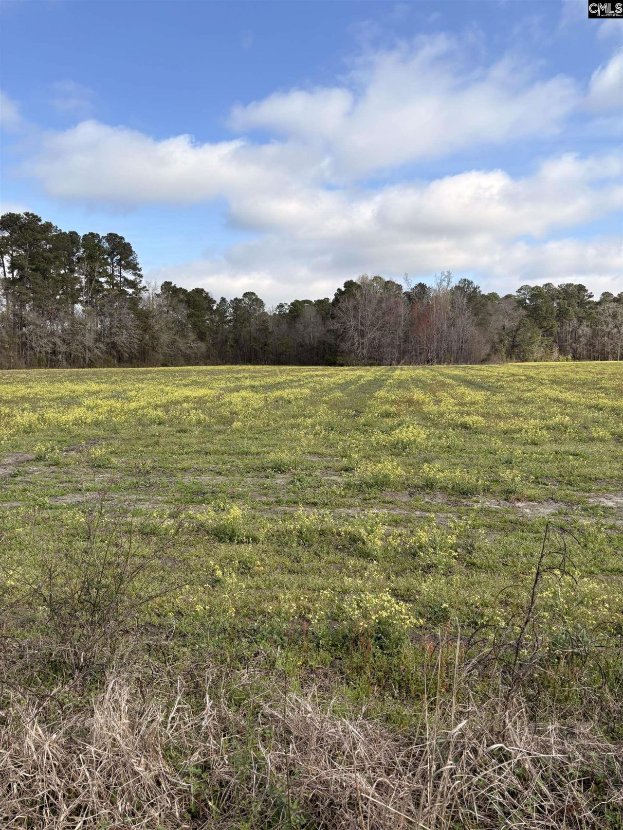 0 Bryant Road Photo 5