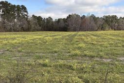 0 Bryant Road photo 4