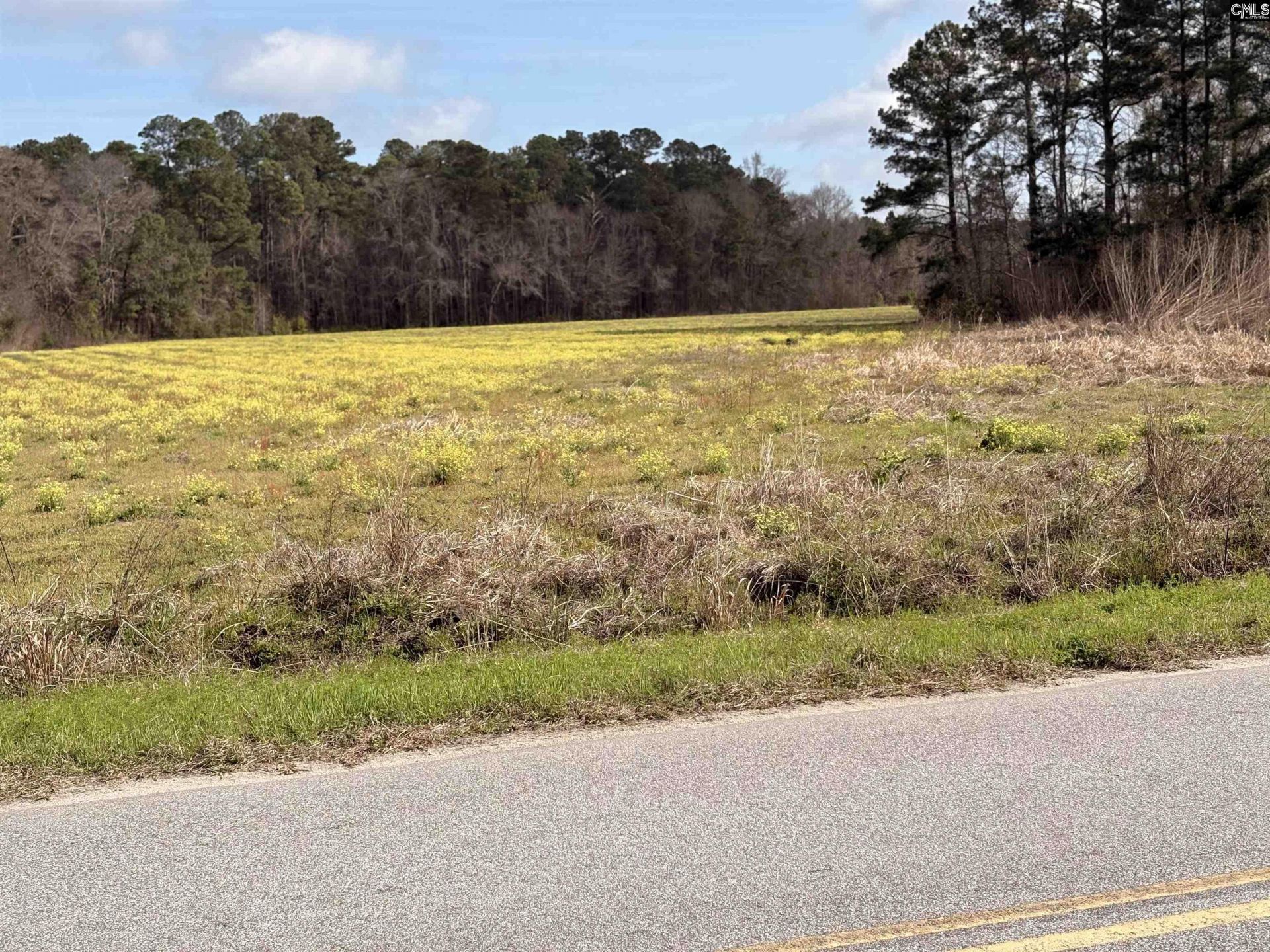 0 Bryant Road Photo 6