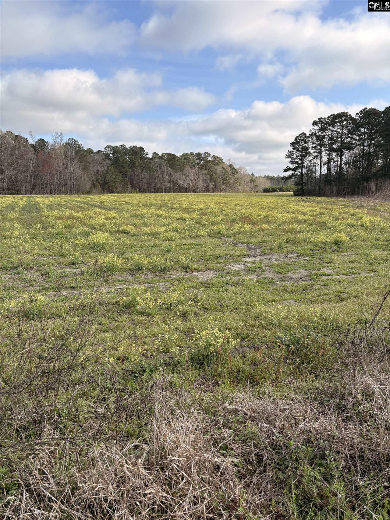 0 Bryant Road Photo 7