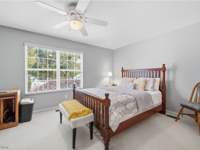 246 Village Court, Columbiana, OH 44408 Photo 10