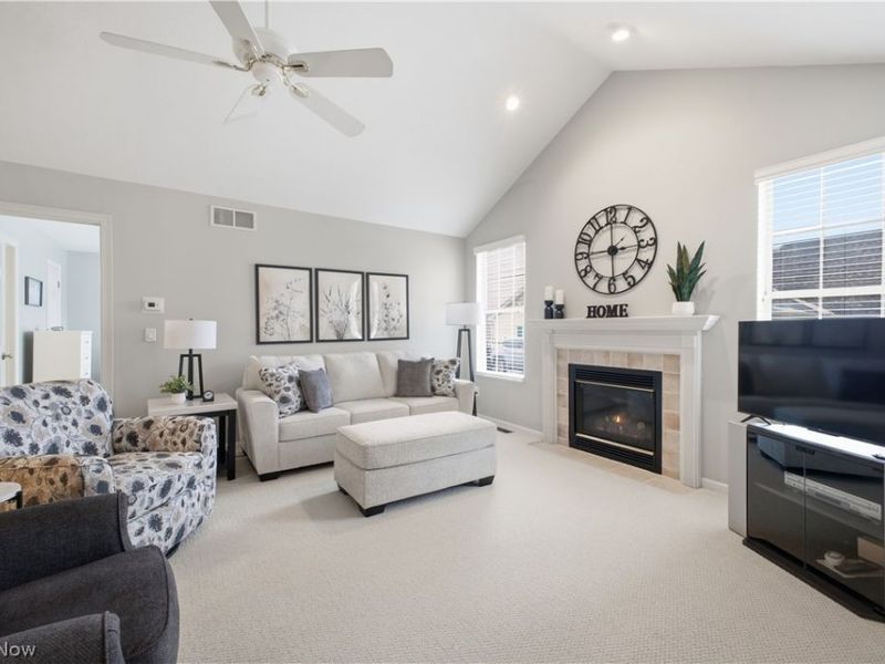 246 Village Court, Columbiana, OH 44408 Photo 3