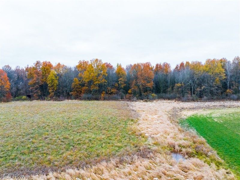 Mahan Denman Road, Bristolville, OH 44402 Photo 24