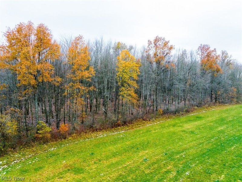 Mahan Denman Road, Bristolville, OH 44402 Photo 29