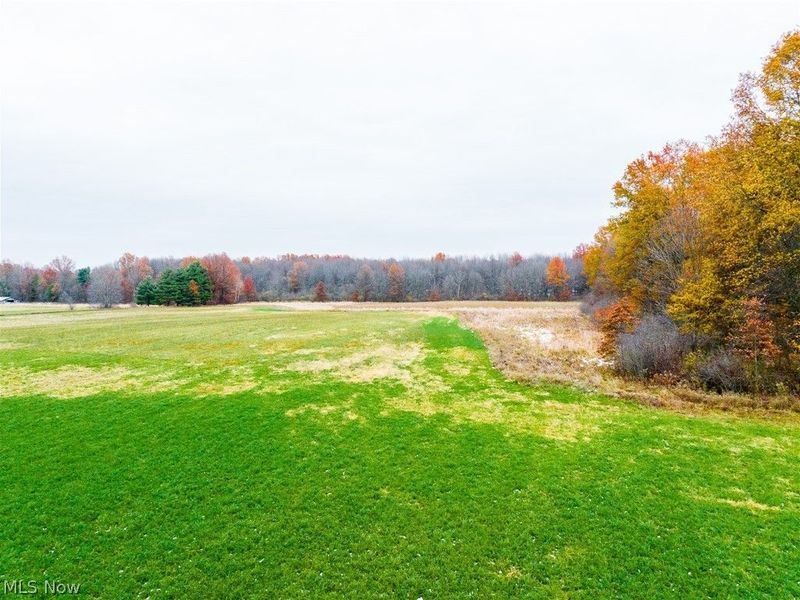 Mahan Denman Road, Bristolville, OH 44402 Photo 31