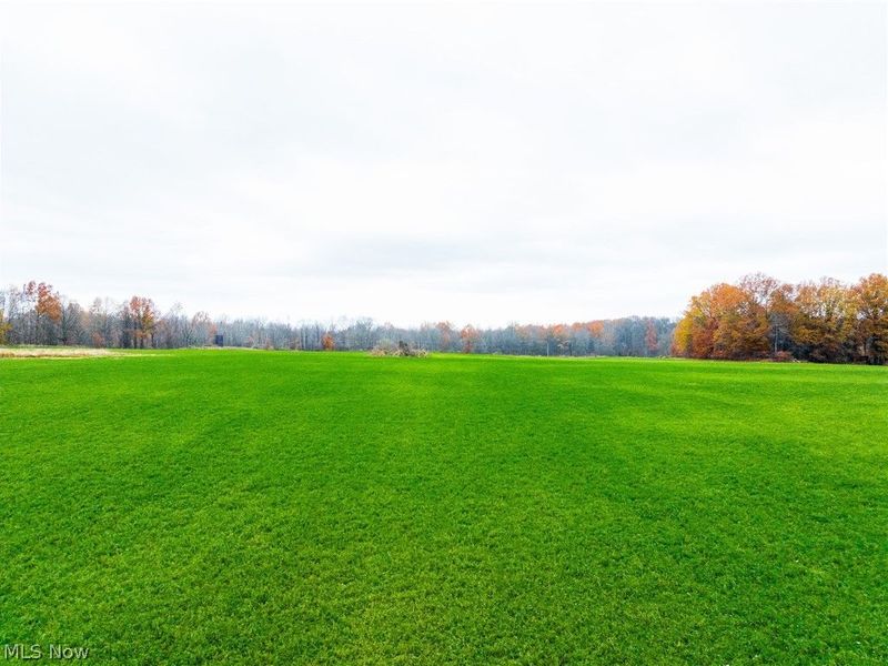 Mahan Denman Road, Bristolville, OH 44402 Photo 33