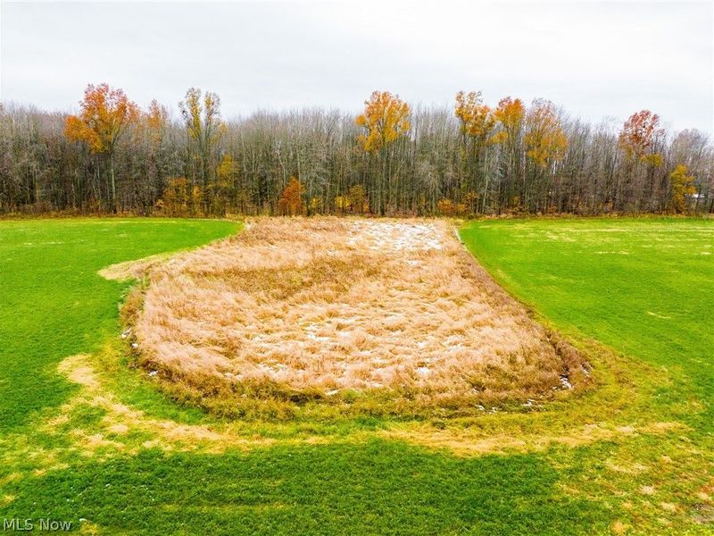 Mahan Denman Road, Bristolville, OH 44402 Photo 36