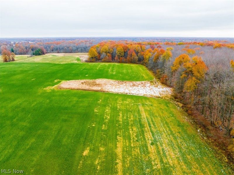 Mahan Denman Road, Bristolville, OH 44402 Photo 39