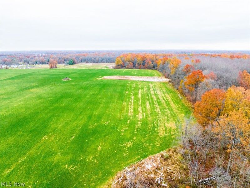 Mahan Denman Road, Bristolville, OH 44402 Photo 43