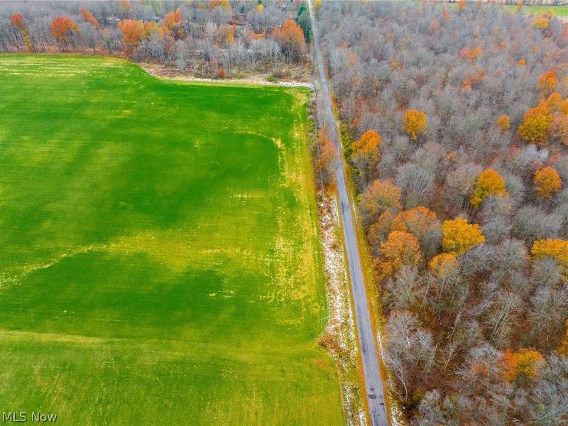 Mahan Denman Road, Bristolville, OH 44402 Photo 48