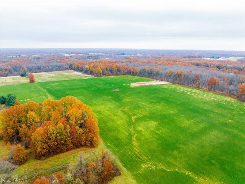 Mahan Denman Road, Bristolville, OH 44402 Photo 49