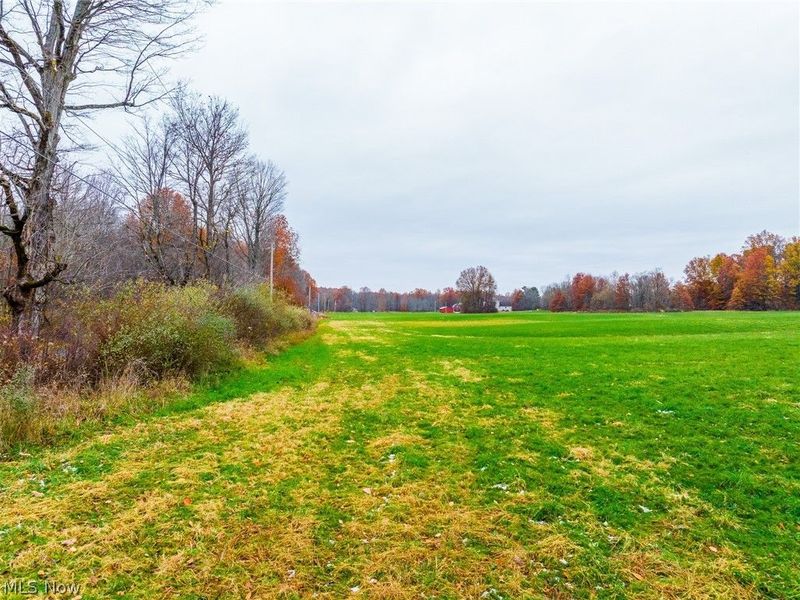 Mahan Denman Road, Bristolville, OH 44402 Photo 5