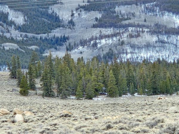 Parcel 11, Tract 11 , Twin Lakes, CO 81251
