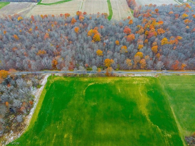 Mahan Denman Road, Bristolville, OH 44402 Photo 11