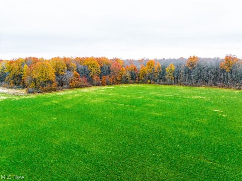 Mahan Denman Road, Bristolville, OH 44402 Photo 15