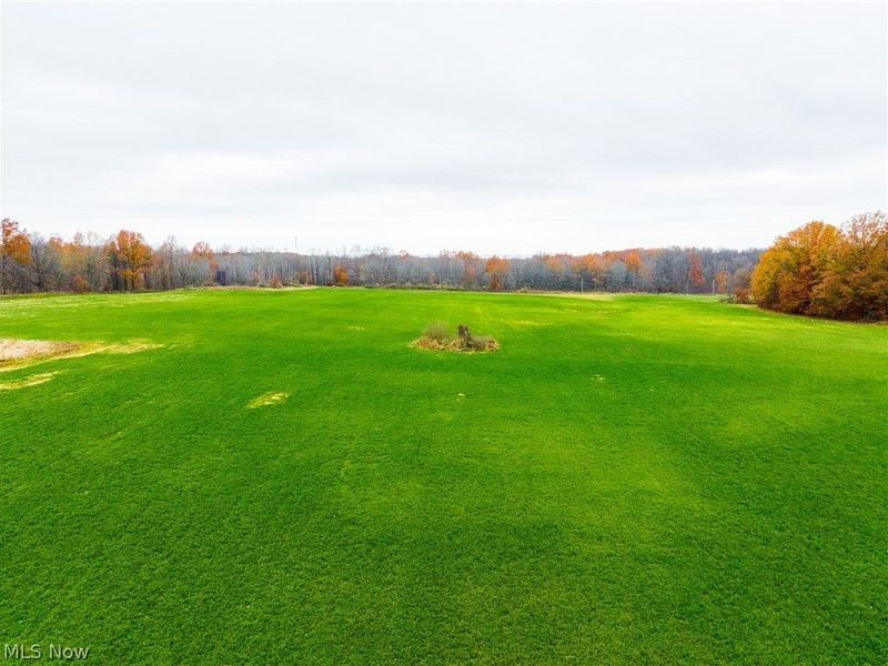 Mahan Denman Road, Bristolville, OH 44402 Photo 16