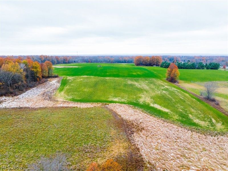 Mahan Denman Road, Bristolville, OH 44402 Photo 17