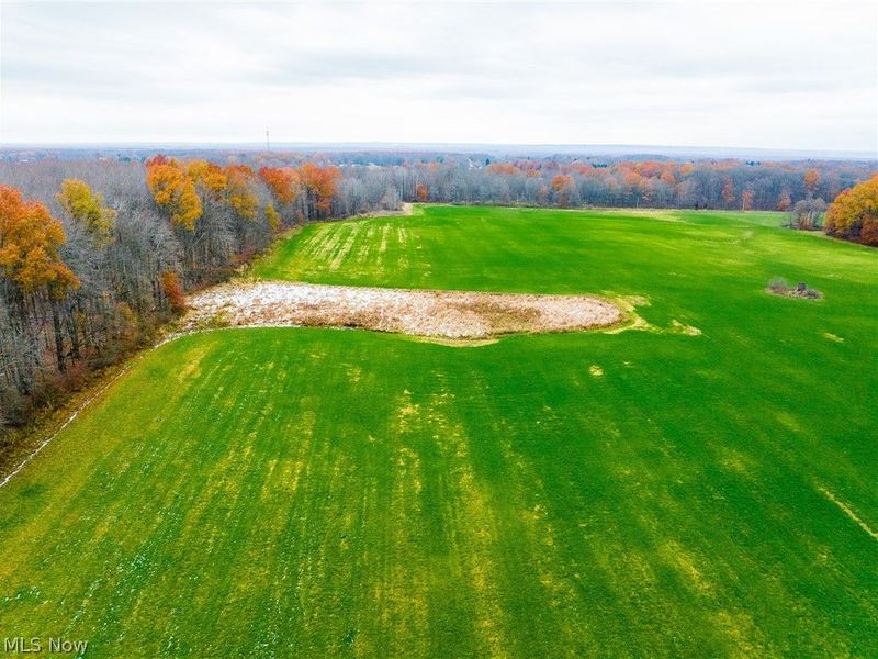 Mahan Denman Road, Bristolville, OH 44402 Photo 22