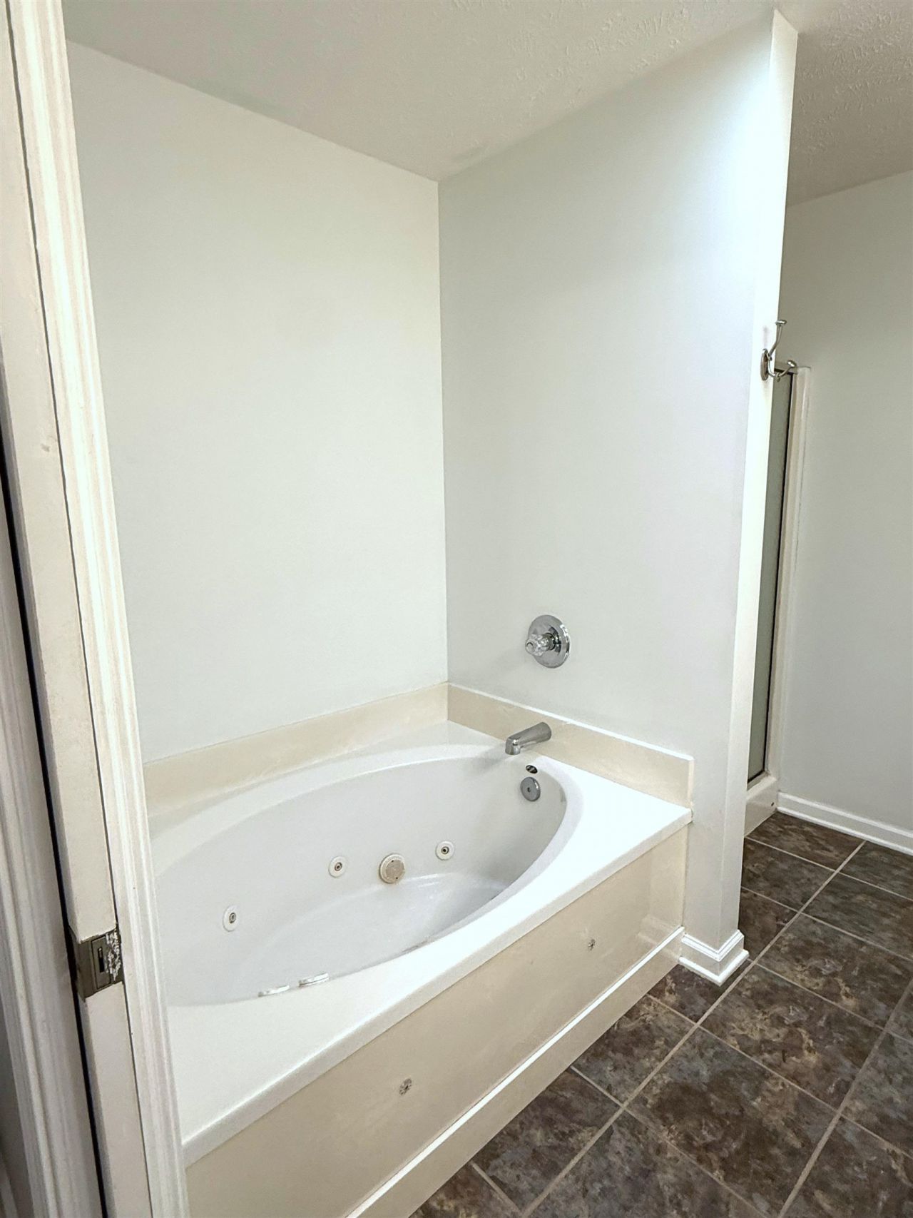101 Peninsula Ct.  Photo 22