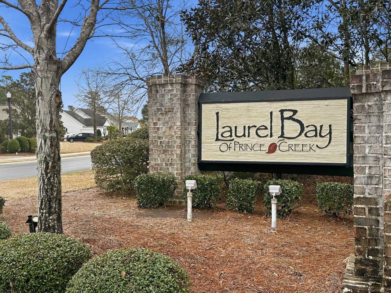 361 Green Creek Bay Circle Photo 41