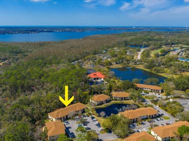3301 CRYSTAL COURT E, Unit M, PALM HARBOR, FL 34685