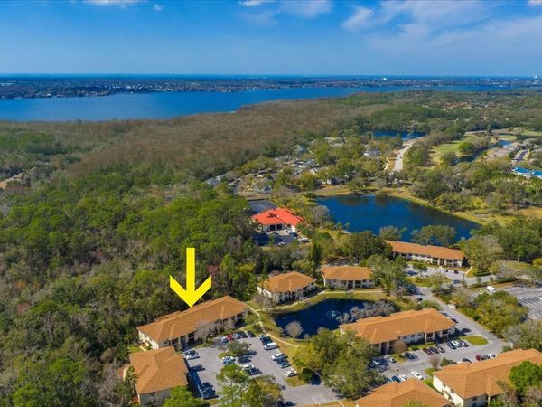 3301 CRYSTAL COURT E, Unit M, PALM HARBOR, FL 34685