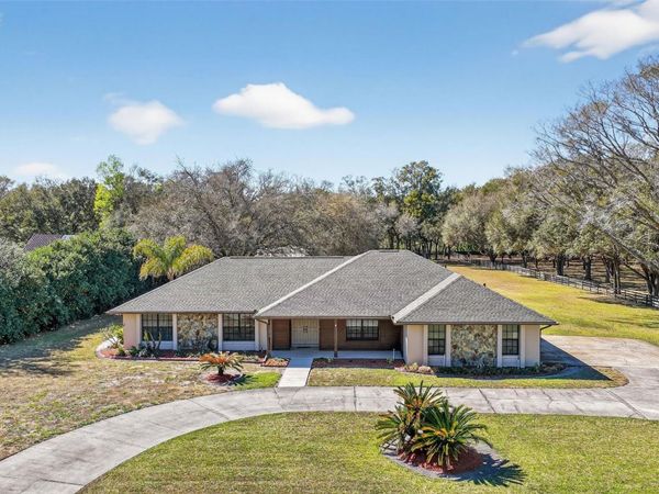 32239 WOLF BRANCH LANE, SORRENTO, FL 32776