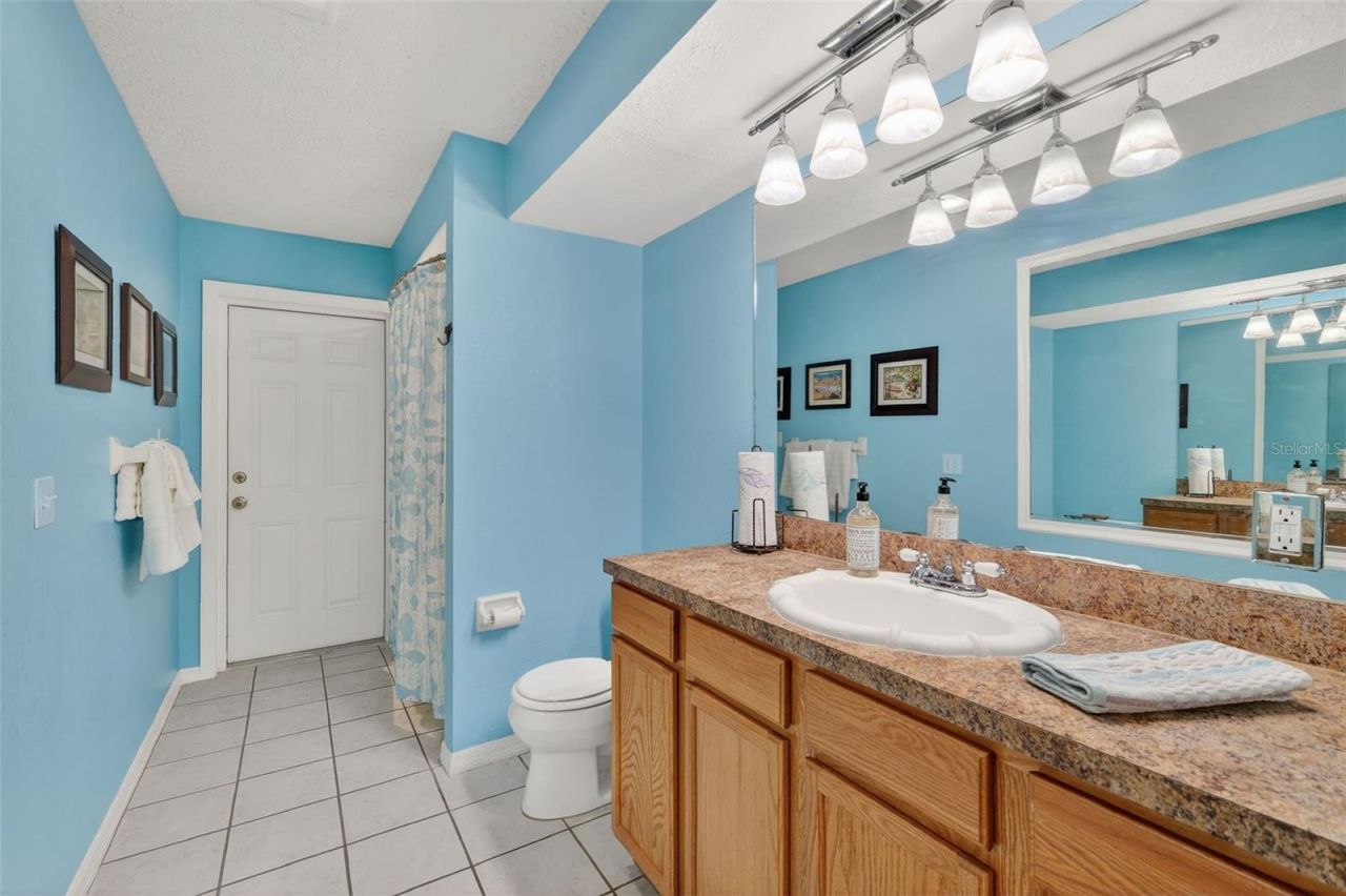 32239 Wolf Branch Lane, Sorrento, FL 32776 Photo