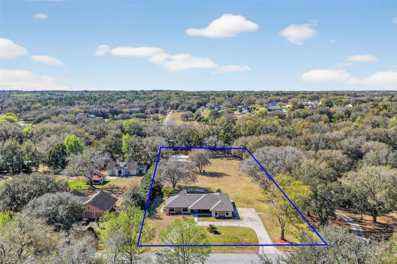 32239 Wolf Branch Lane, Sorrento, FL 32776 Photo