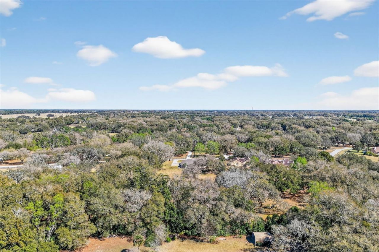 32239 Wolf Branch Lane, Sorrento, FL 32776 Photo