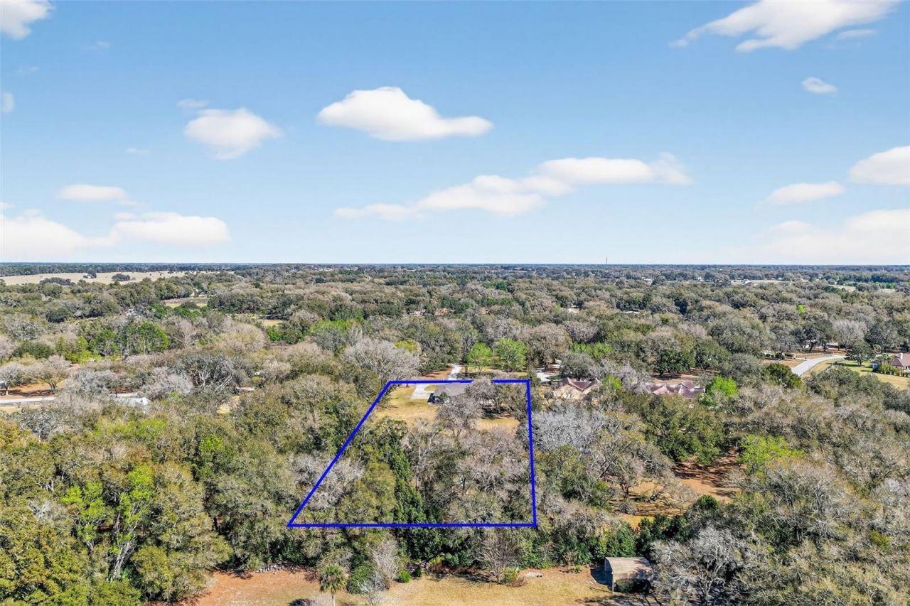 32239 Wolf Branch Lane, Sorrento, FL 32776 Photo