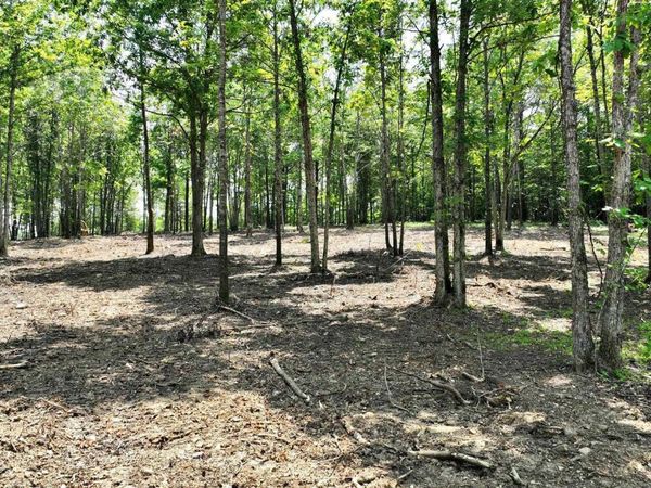 TBD, Tract 3 Polk Road 158 , Mena, AR 71953