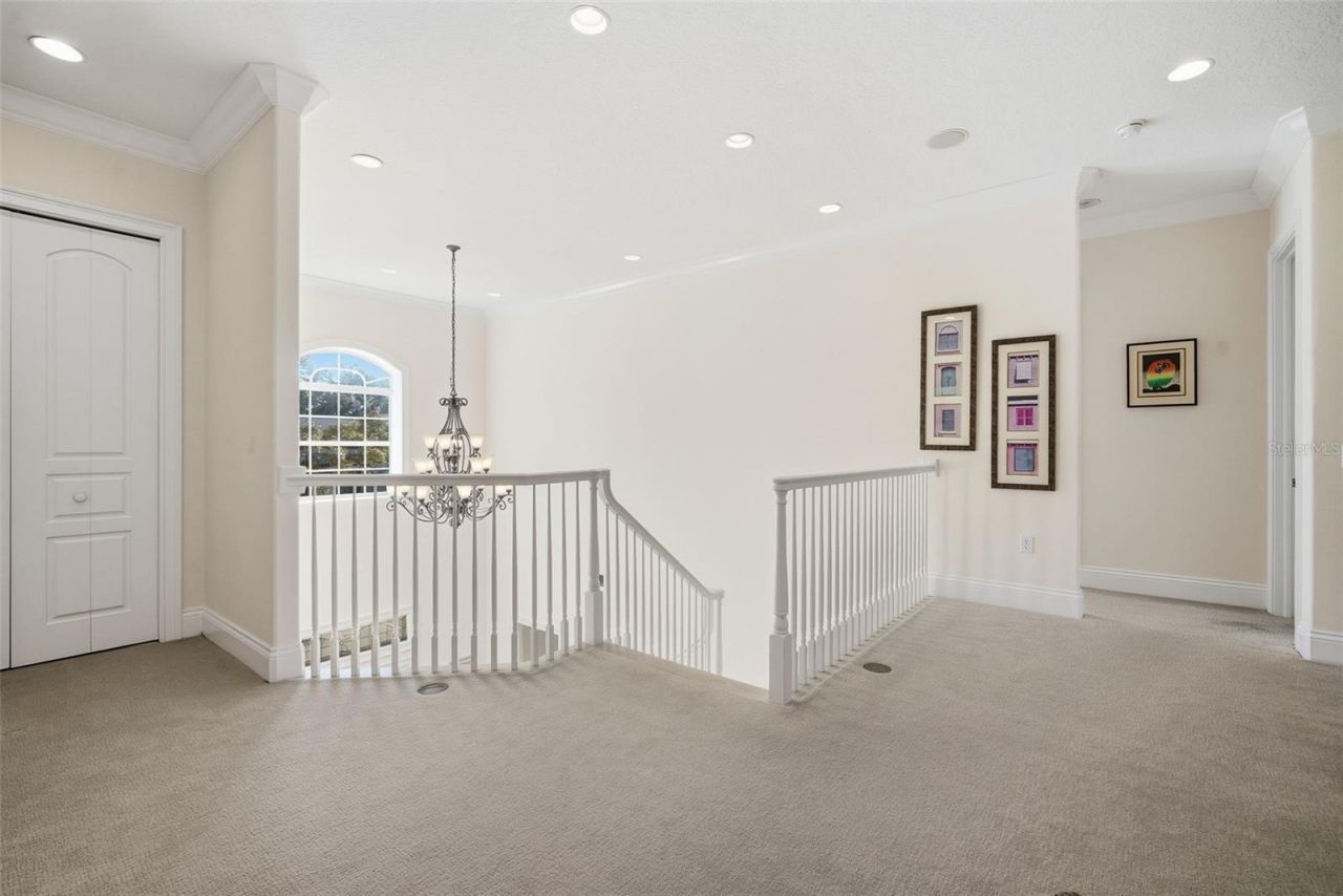 4117 W Azeele Street, Tampa, FL 33609 Photo