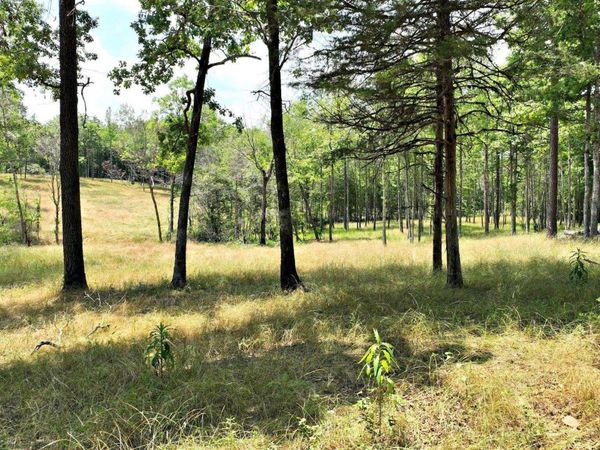 TBD, Tract 4 Polk Road 158 , Mena, AR 71945