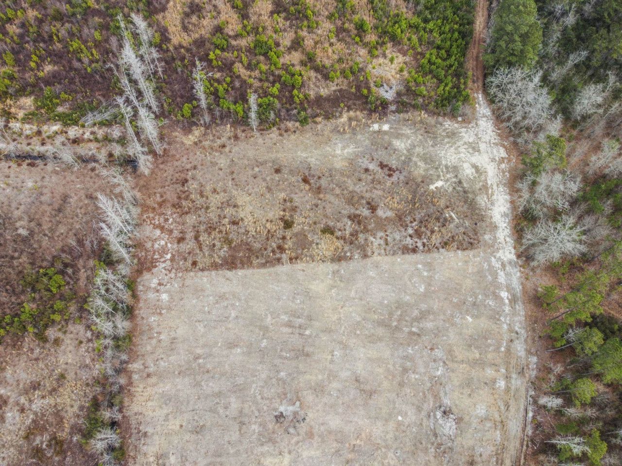 7306 Bellaire Dr. Photo 5