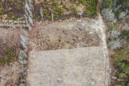 7306 Bellaire Dr. photo 4