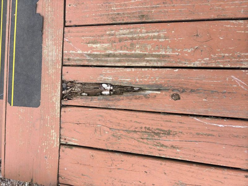 139 N 26th Street , Newark, OH 43055 Photo 3