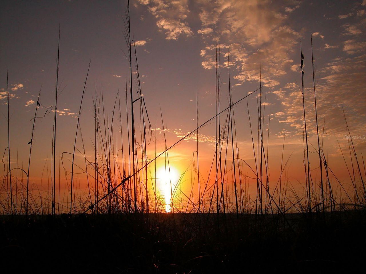 5055 Gulf Of Mexico Drive , Unit 412, Longboat Key, FL 34228 Photo